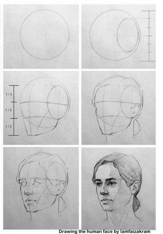 535x767 Drawing The Human Face - Human Face Pencil Drawing