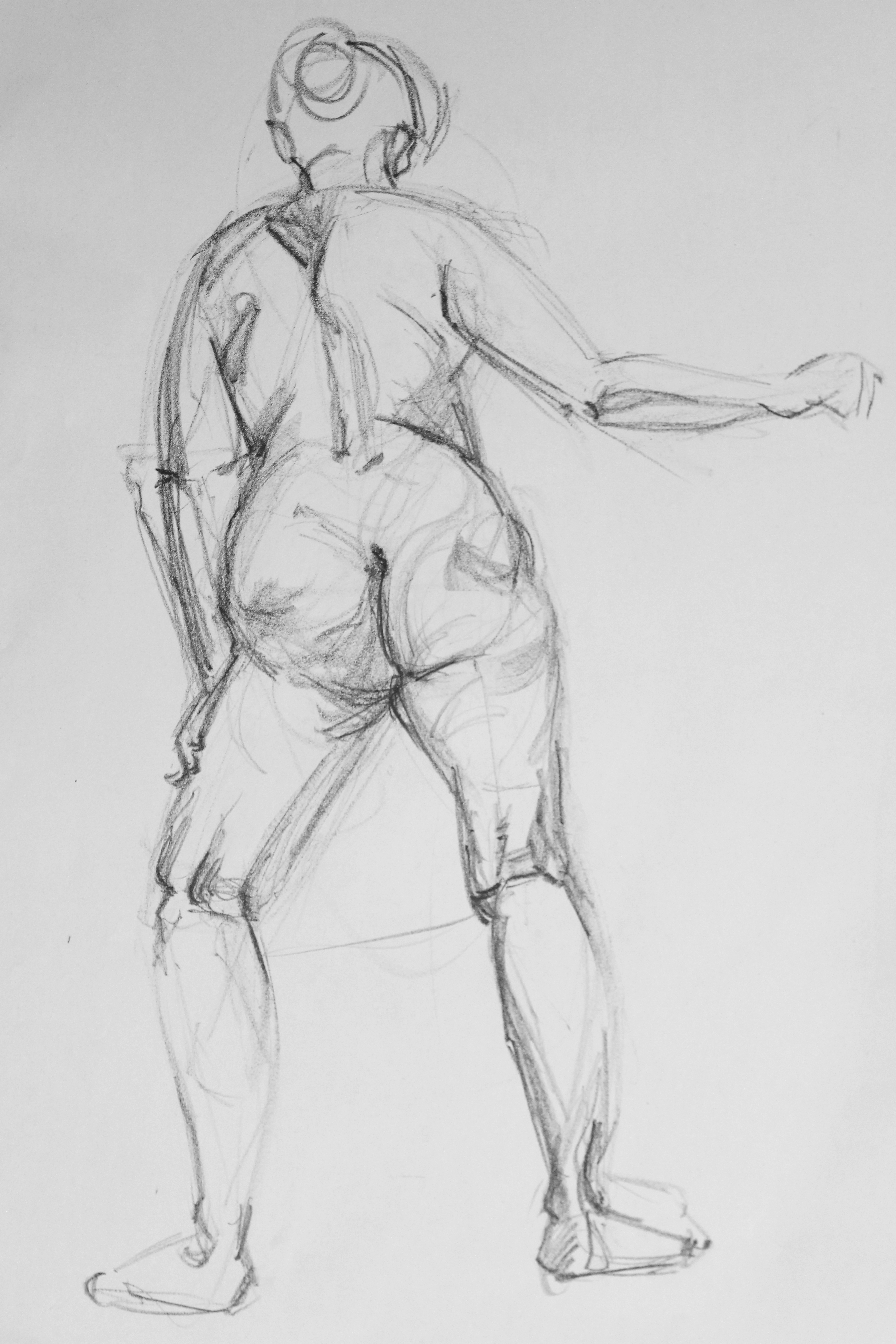 3144x4716 ask the art prof how would i go about studying the human figure - Human Figure Drawing