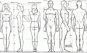 300x182 Drawing The Human Form In Correct Proportions - Human Form Drawing
