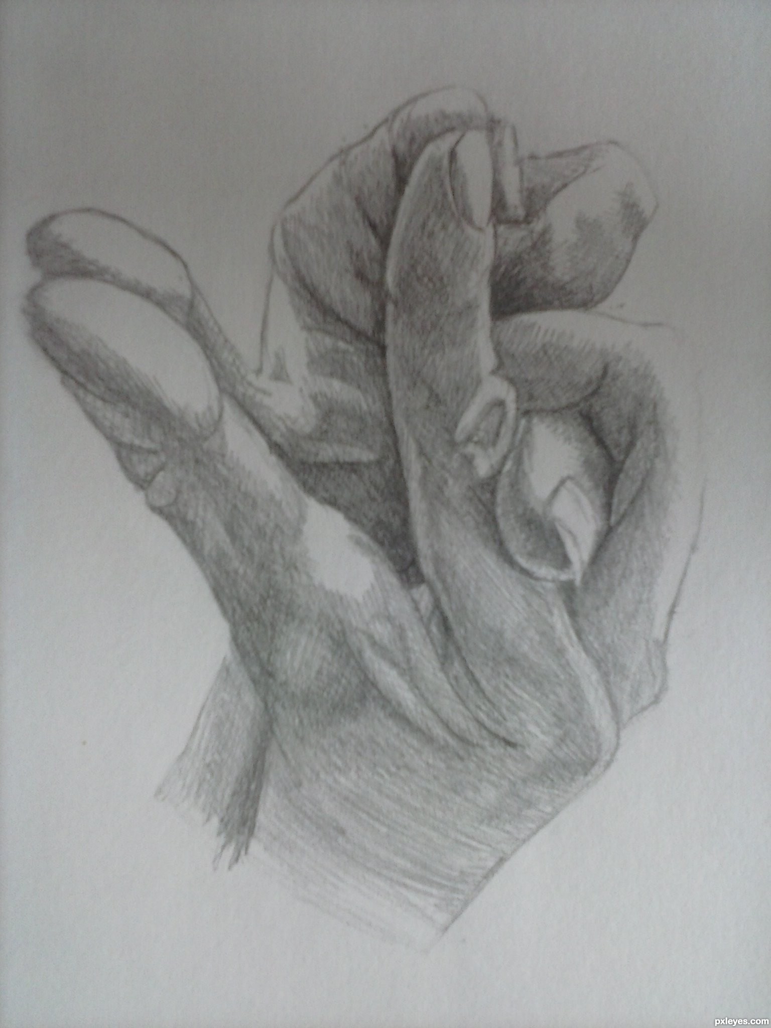 1536x2048 Hands In The Shape Of A Frog Picture - Human Hand Drawing