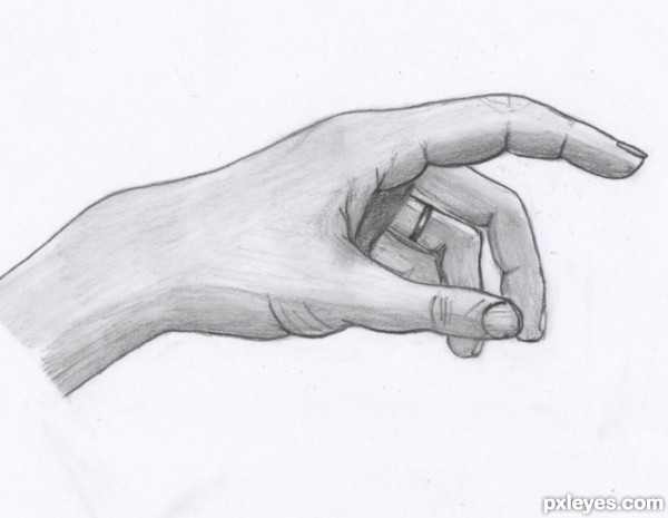 600x465 Human Hands Drawing Contest - Human Hand Drawing
