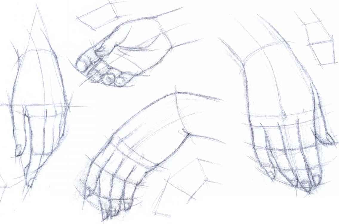 1136x750 knuckles drawing human hand for free download - Human Hand Drawing