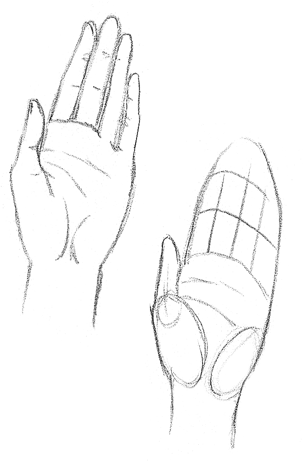 human hand drawing