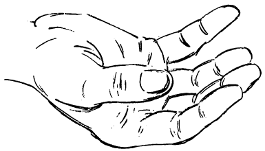 385x220 drawing human arms and hands how to draw the arms and hands - Human Hand Drawing