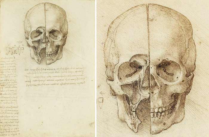 700x460 How To Draw A Skull - Human Head Anatomy Drawing