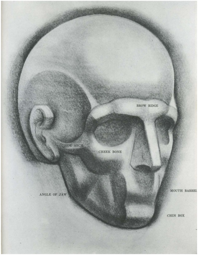 638x819 Burne Hogarth Drawing The Human Head - Human Head Anatomy Drawing