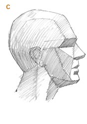 175x250 Here Is An Artist's Guide To Drawing The Human Head - Human Head Anatomy Drawing