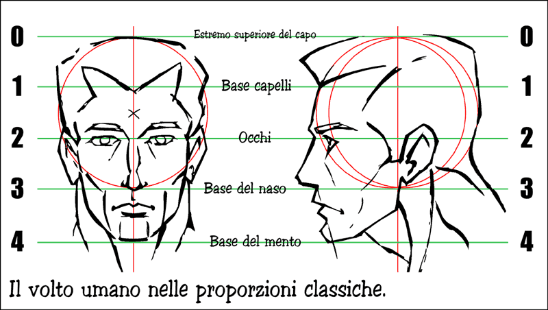 800x452 How To Draw - Human Head Drawing