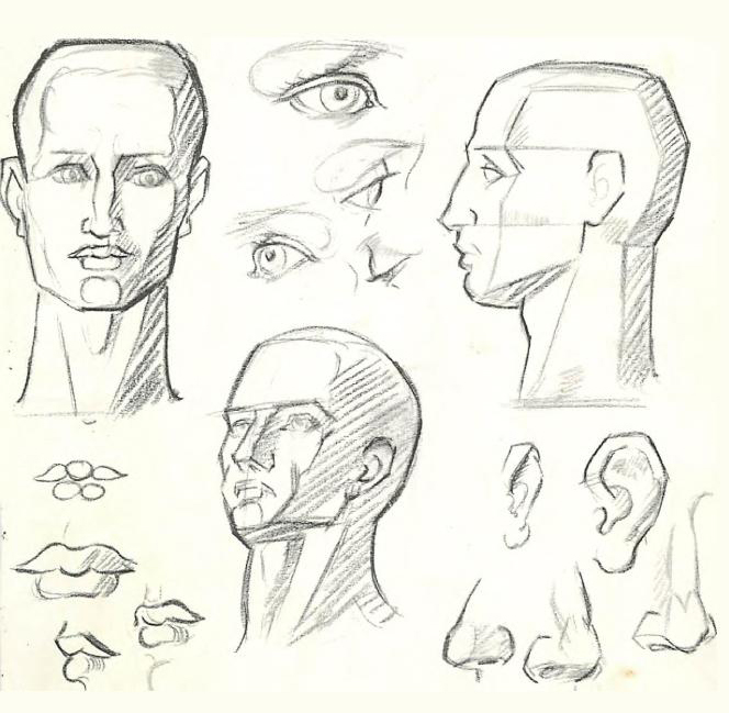 664x649 how to draw the human figure drawing body, head, facial features - Human Head Drawing