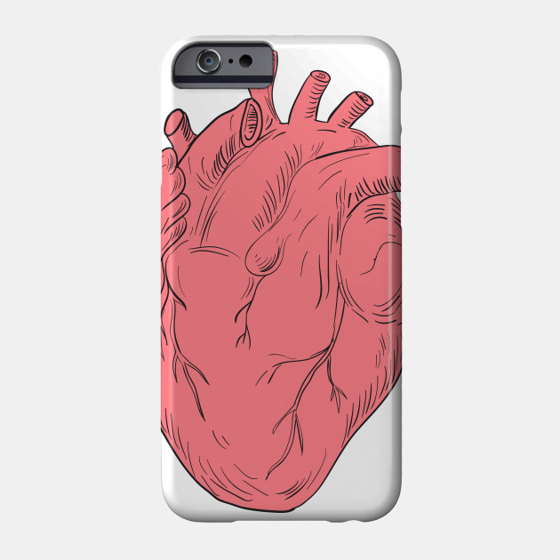 630x630 Human Heart Anatomy Drawing - Human Heart Anatomy Drawing