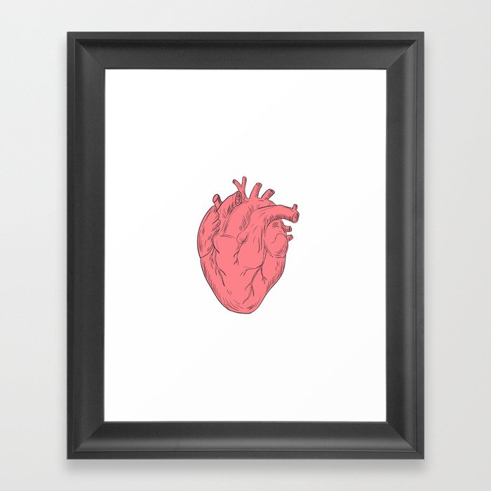 700x700 Human Heart Anatomy Drawing Framed Art Print - Human Heart Anatomy Drawing