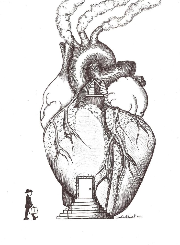 736x1003 human heart drawing best anatomical heart images - Human Heart Drawing
