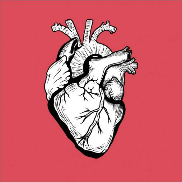 585x585 Heart Diagram Templates Sample, Example, Format Download - Human Heart Drawing