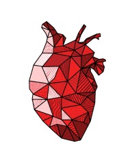 190x228 Real Anatomical Human Heart Drawing T Shirt Iphone Case - Human Heart Drawing