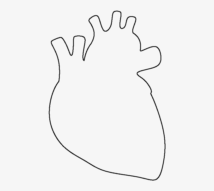 820x732 Human Heart Drawing Png Free Library - Human Heart Drawing Images