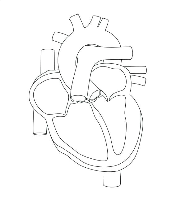 Featured image of post How To Draw A Simple Real Heart : Step 2 by using the circular outline, draw the right hand holding the circle with sharp edges for joints.