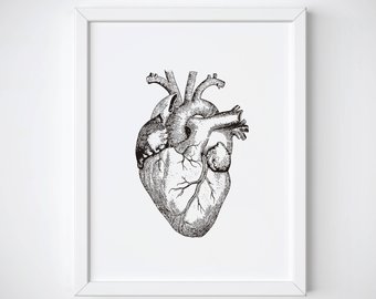340x270 Anatomical Heart Art Etsy - Human Heart Drawing Images