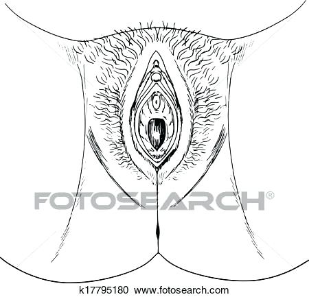 450x433 Outline Of Human Head Canvas With Organs Brain Drawing - Human Heart Drawing Outline