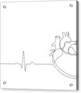 163x186 Single Continuous Line Art Anatomical Human Heart Silhouette - Human Heart Drawing Outline