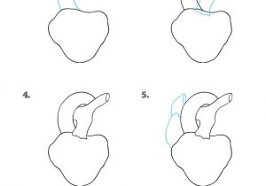 300x210 Easy Beginner Heart Sketch How To Draw An Impossible Heart - Human Heart Drawing Simple