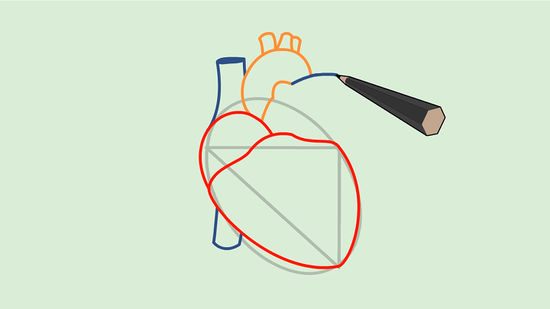550x309 How To Draw A Human Heart Steps - Human Heart Drawing Simple