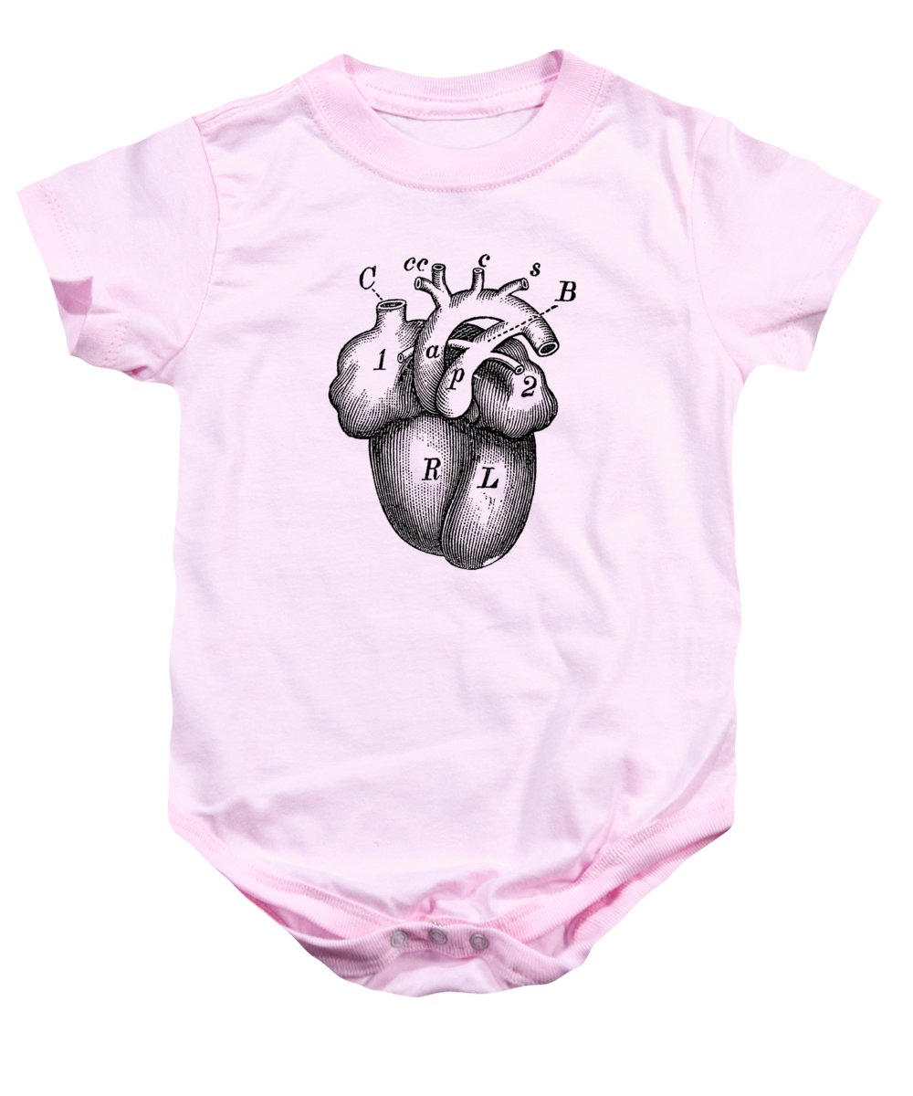 1000x1200 Simple Human Heart Diagram Onesie For Sale - Human Heart Drawing Simple