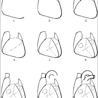 human heart drawing simple step by step