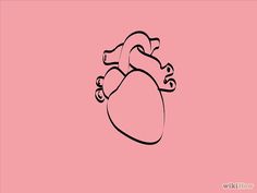 236x177 draw a human heart agy anatomical heart drawing, heart anatomy - Human Heart Drawing Simple