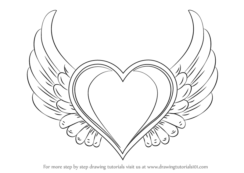 800x566 Learn How To Draw Heart With Wings - Human Heart Drawing Steps