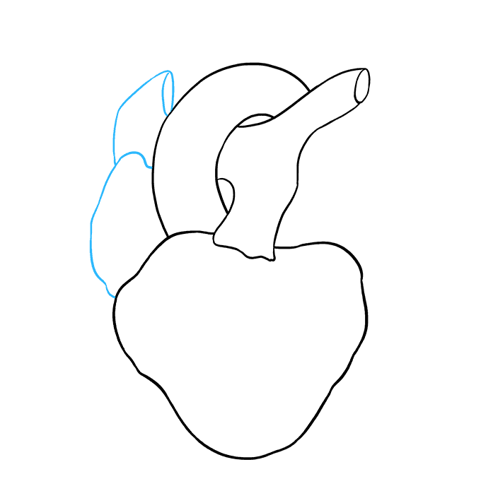 680x678 How To Draw A Human Heart - Human Heart Line Drawing