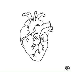 236x236 Human Heart Line Drawing - Human Heart Line Drawing