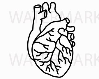 340x270 Human Heart Line Drawing Jpgsvg Real Hand Drawing For Etsy - Human Heart Line Drawing