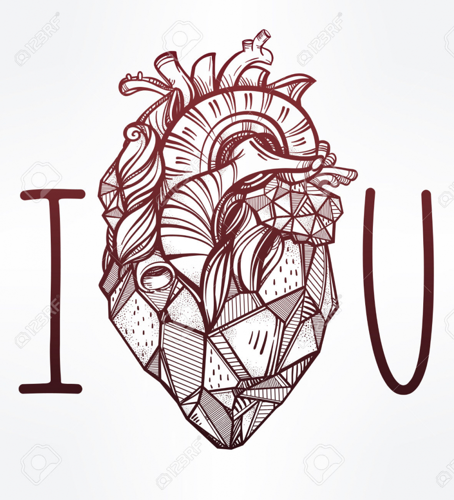 930x1024 Collection Of 'humheart Drawing' Download More Than Images - Human Heart Line Drawing