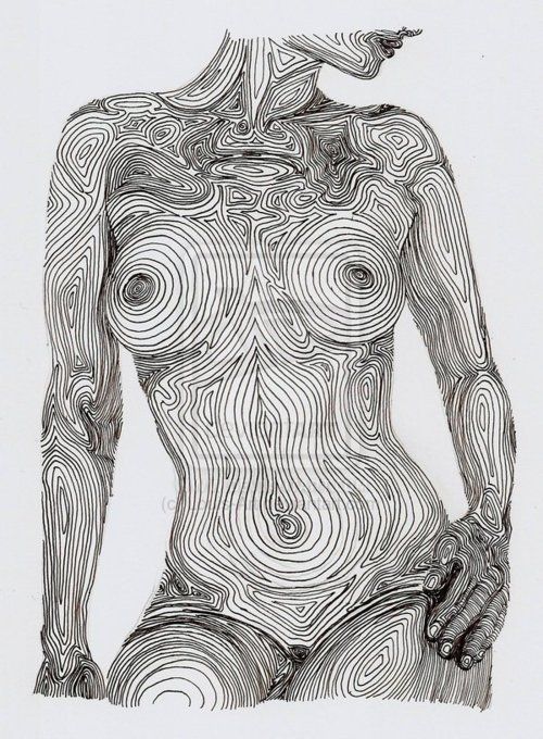 500x680 Pen Line Human Anatomy Clipart - Human Heart Line Drawing