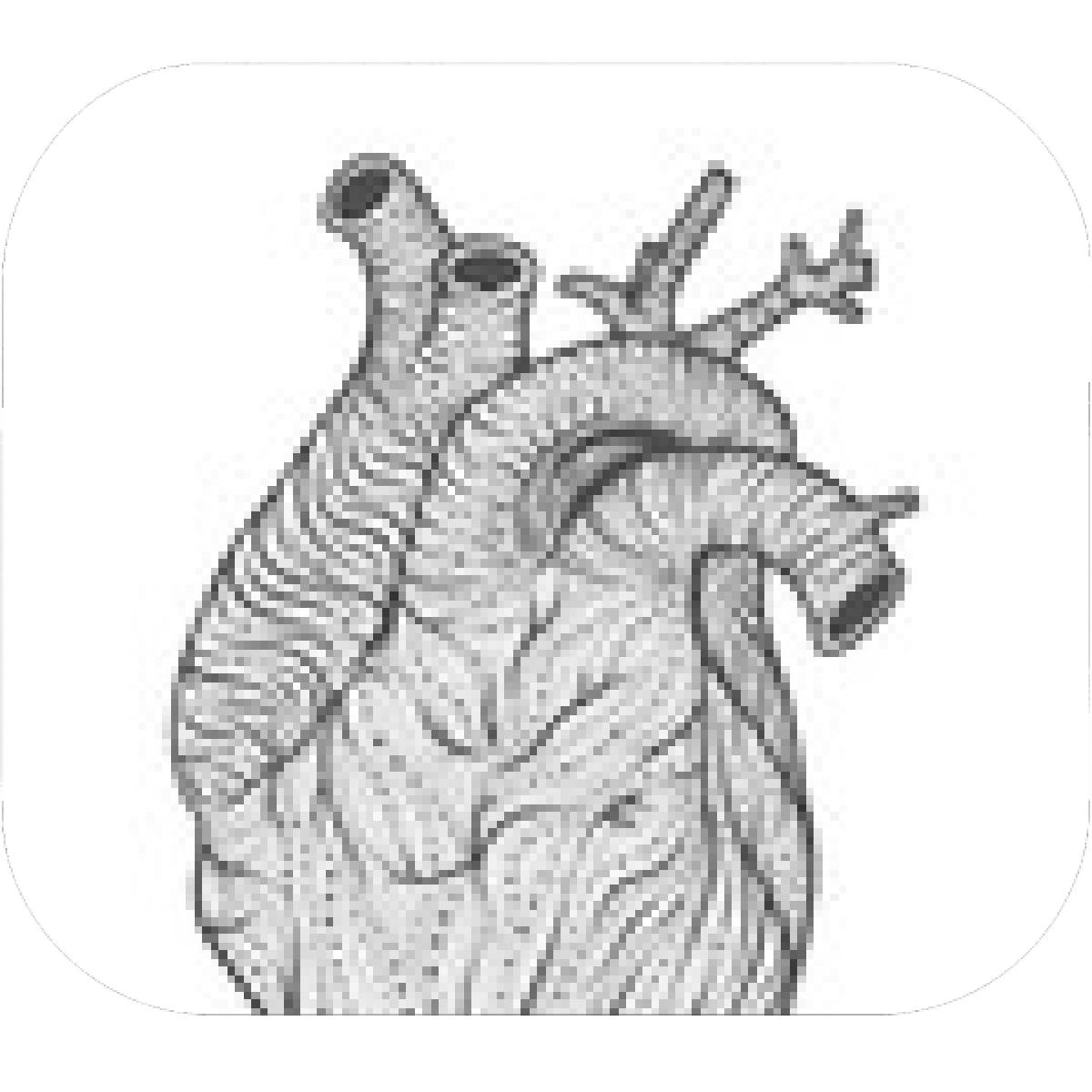 1200x1200 Designs Mein Mousepad Design Mousepad Selbst Designen - Human Heart Line Drawing