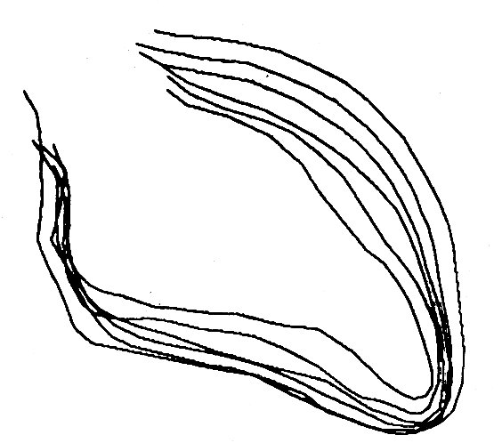 564x498 Human Heart Outline Drawing - Human Heart Outline Drawing