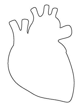 290x375 Drawing More In Heart Template - Human Heart Outline Drawing