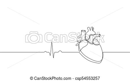 450x282 Single Continuous Line Art Anatomical Human Heart Silhouette - Human Heart Outline Drawing