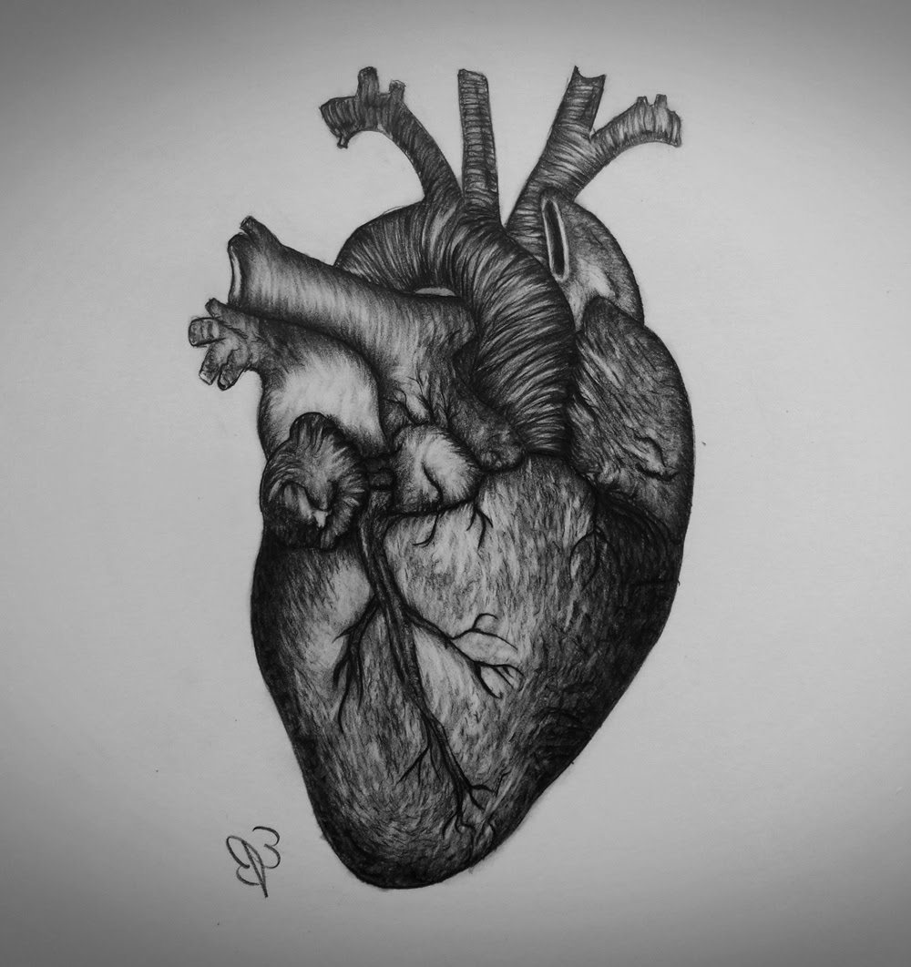 Human Heart Pencil Drawing at PaintingValley.com | Explore collection ...