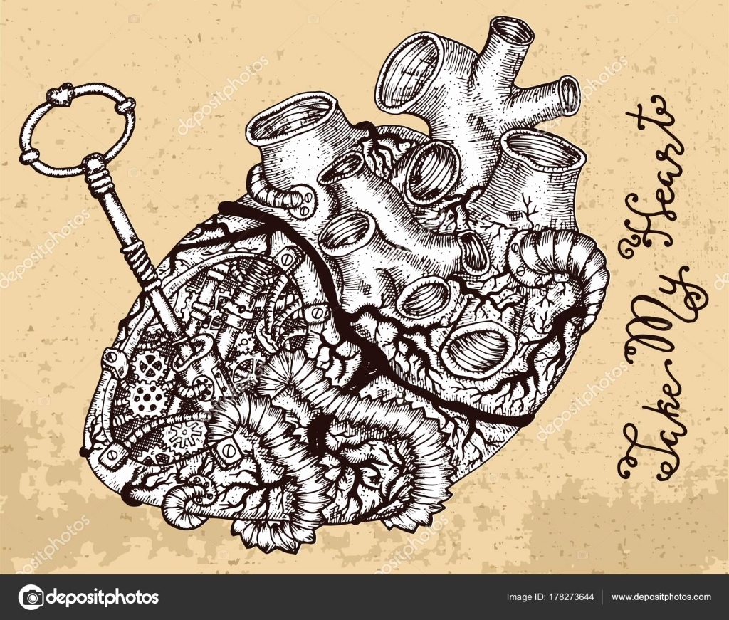 1024x871 Sketch Of Human Heart Inspirational Sketch Art Pencil Drawings Tag - Human Heart Pencil Drawing