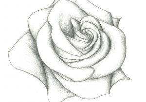 300x210 drawings in pencil roses around human heart heart drawing - Human Heart Pencil Drawing