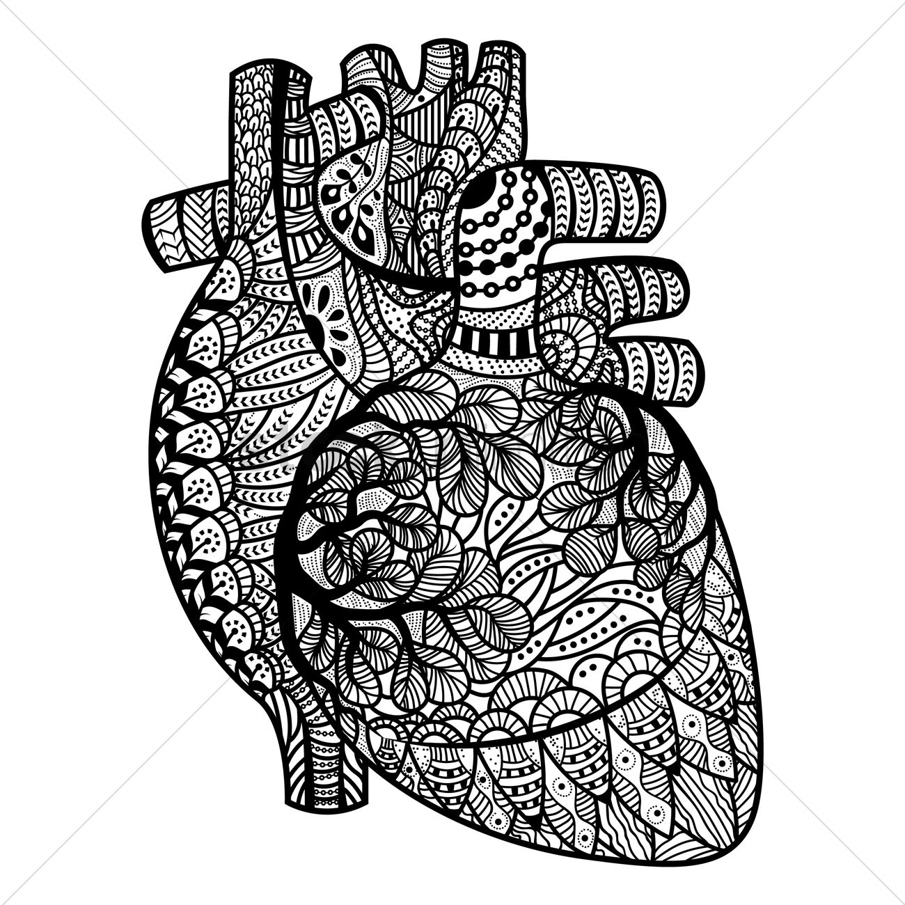 1300x1300 heart sketch drowing downloading intricate human heart design - Human Heart Pencil Drawing