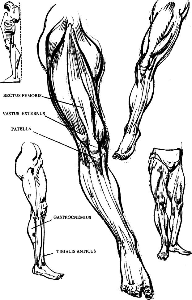 621x972 how to draw human legs and feet drawing article - Human Leg Drawing