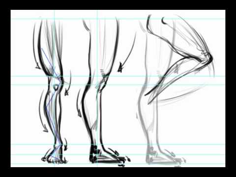 480x360 how to draw leg rhythms force drawing - Human Leg Drawing