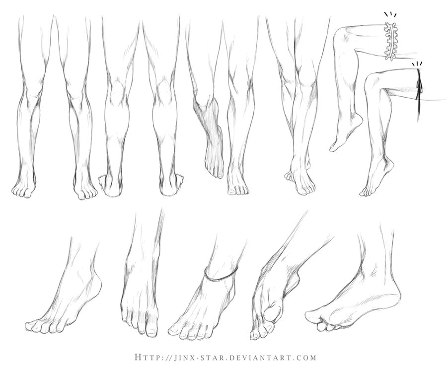 900x736 human leg drawing - Human Leg Drawing
