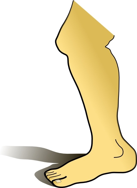 438x598 leg clip art free vector in open office drawing - Human Leg Drawing