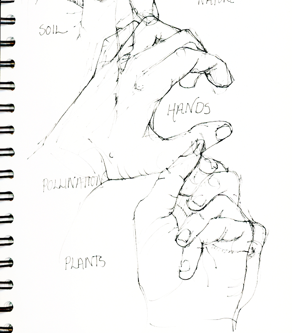 994x1133 Drawing Dojo Ann Mcmillan Art - Human Line Drawing