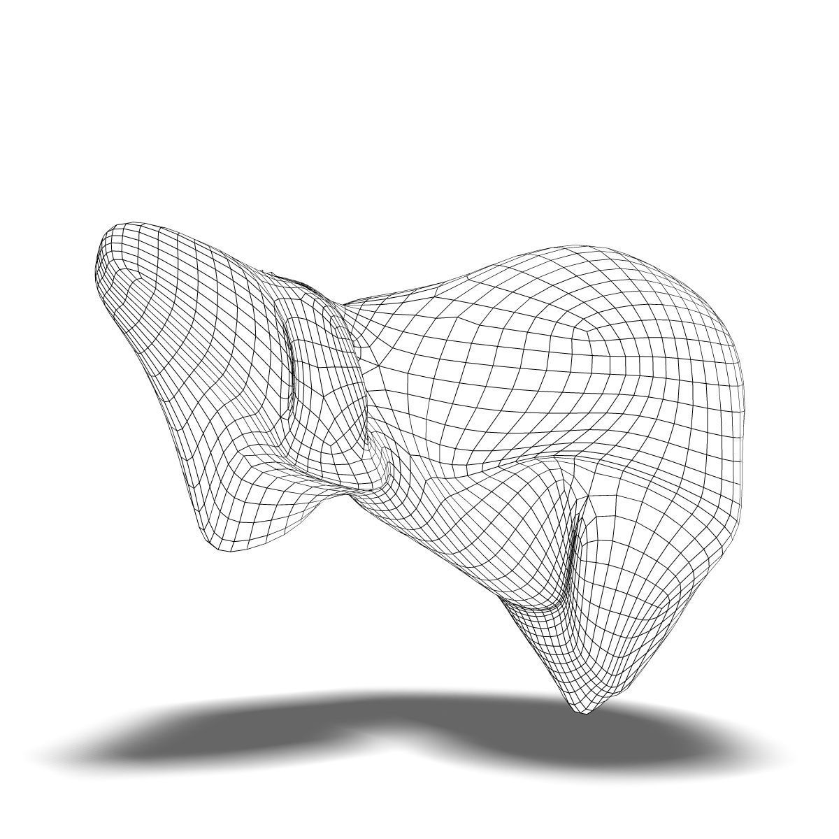 1200x1200 character model human liver anatomy cgtrader - Human Liver Drawing