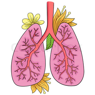 320x320 vector illustration of lungs doodle stock vector colourbox - Human Lungs Drawing