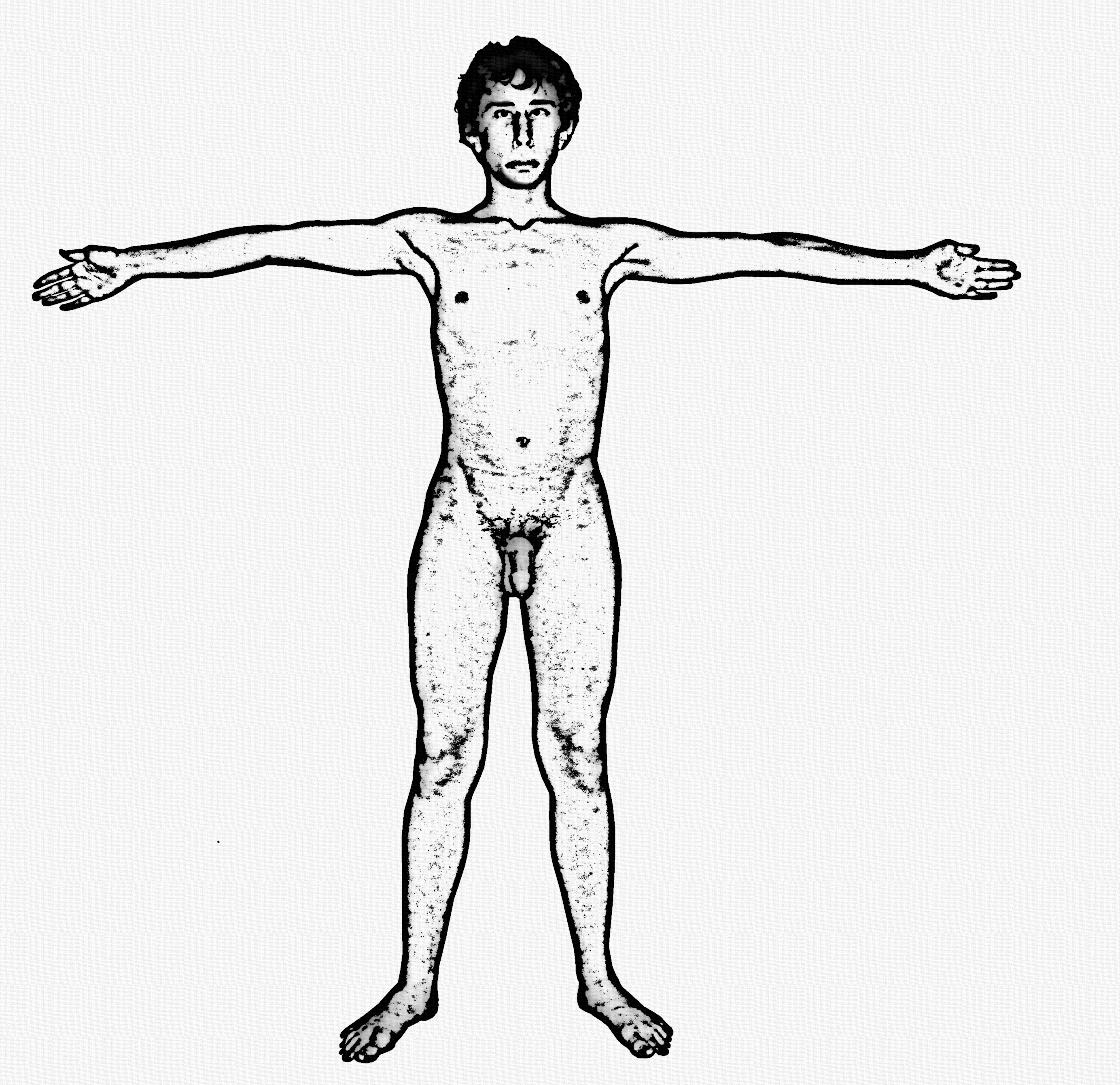 2768x2680 filehuman male body - Human Male Body Drawing